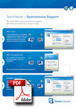 how to use teamviewer step by step pdf